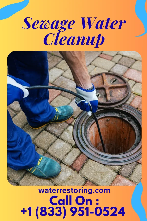 Sewage Water Cleanup in Lebanon, VA